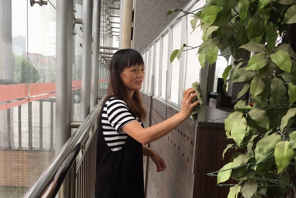 1504839682109093917.jpg 9月5日创文创卫大扫除IMG_9155.jpg
